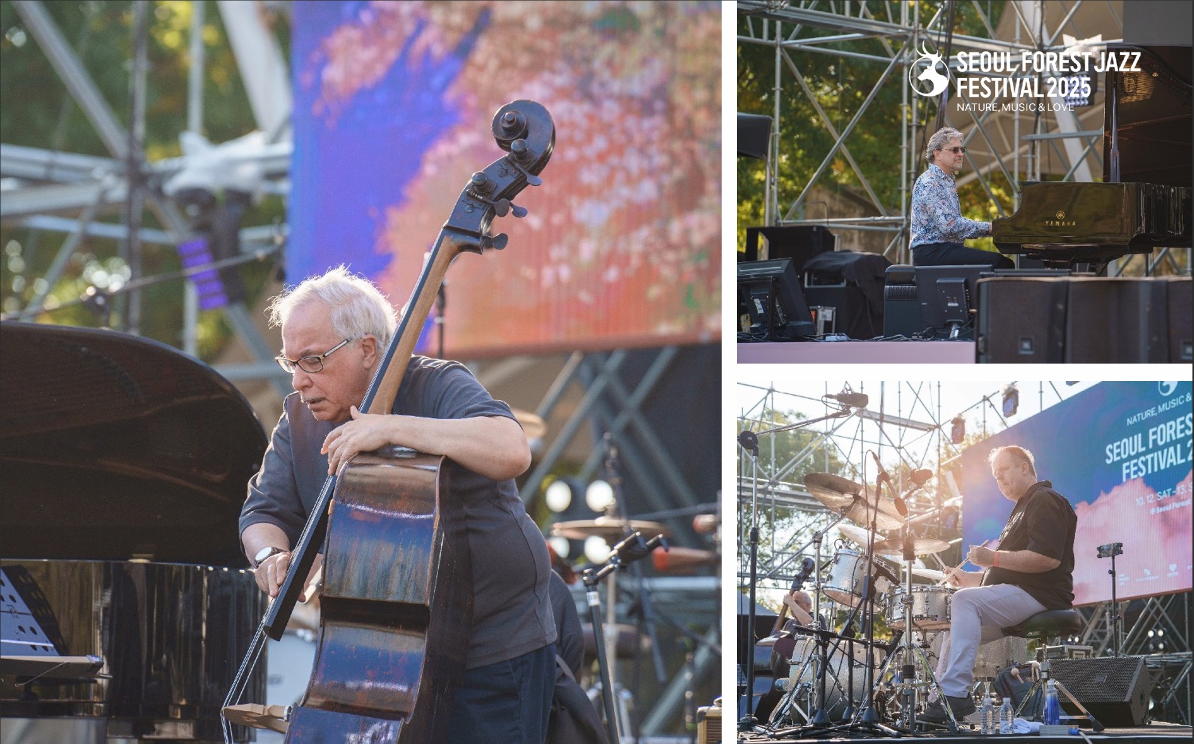 seoul-forest-jazz-festival-2025-musicians-live-performance-daytime-stage