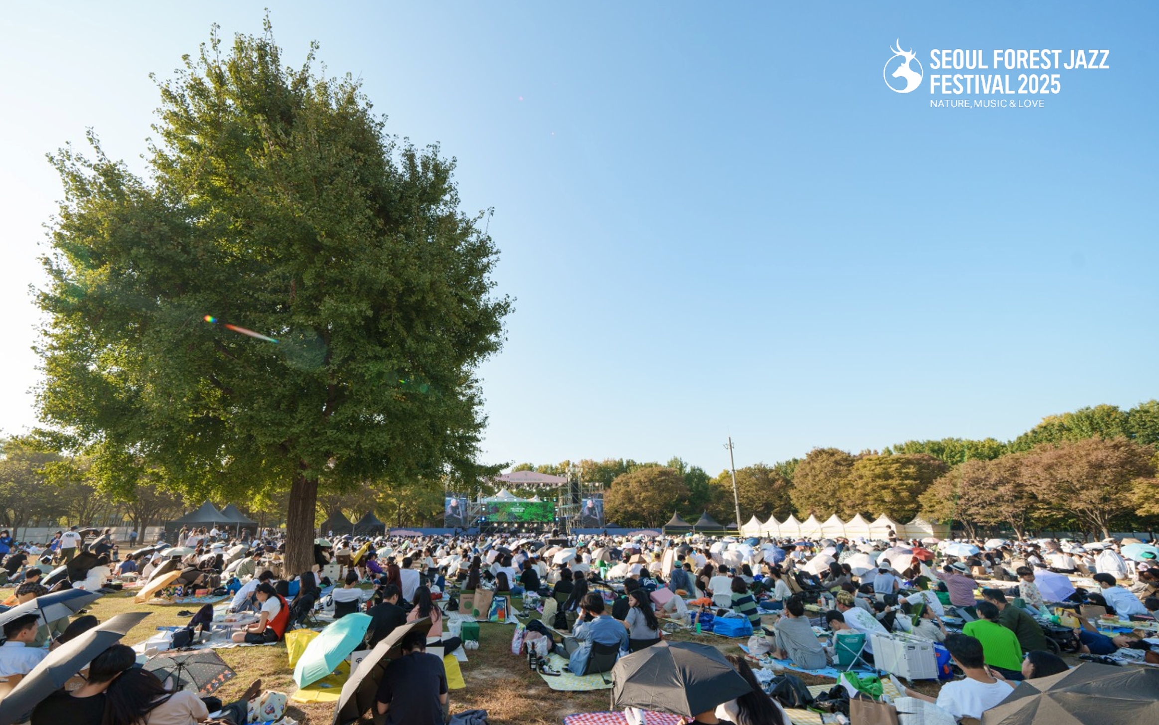 seoul-forest-jazz-festival-2025-picnic-crowd-outdoor-concert-daytime